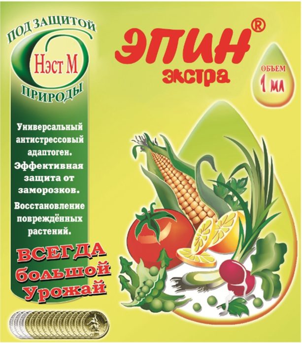 Epin Extra