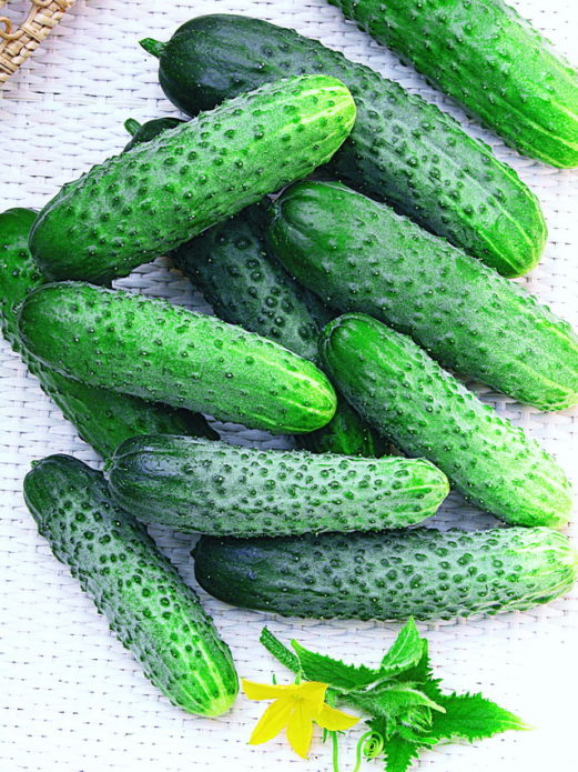 Krastavci hrabrost