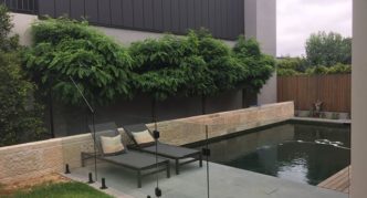 robinia u krajobraznom dizajnu