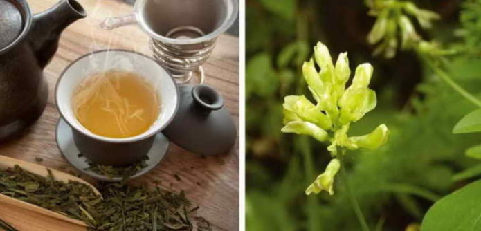 Astragalus biljni čaj