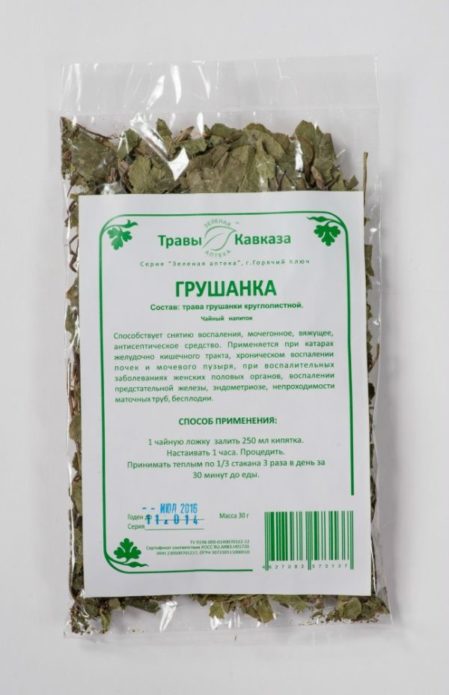 Zimzelen okruglolisni u farmaciji