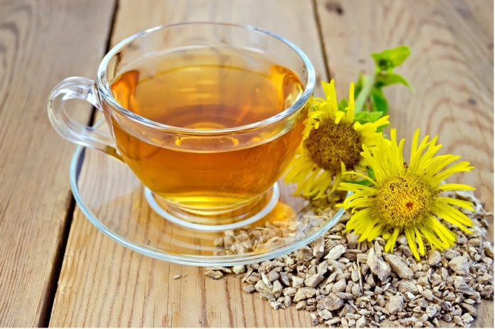 Infuzija vode elecampane