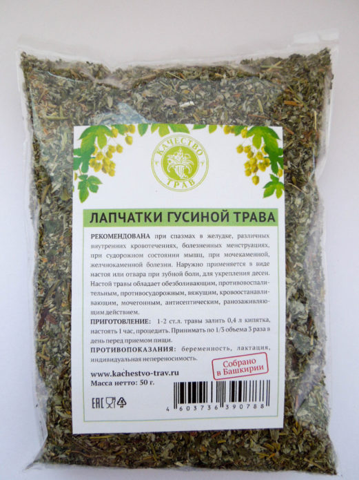 Cinquefoil u ljekarni